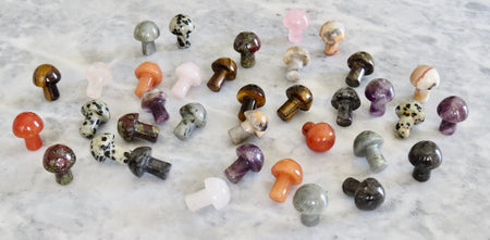 Mini crystal mushrooms