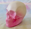 Skull head decor