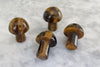 mini crystal mushrooms