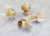 mini crystal mushrooms